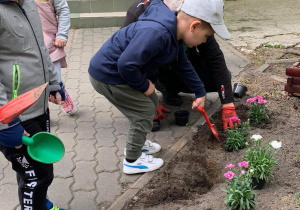 Chłopiec sadzi kwiatka