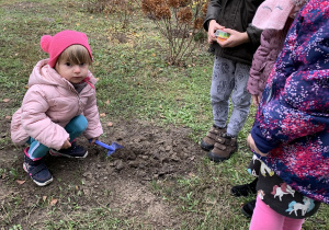 Dzieci sadzą cebulki tulipanów