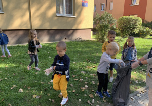 Biedronki sprzątają okolice przedszkola