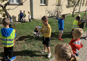 Biedronki i Motylki sprzątają okolice przedszkola