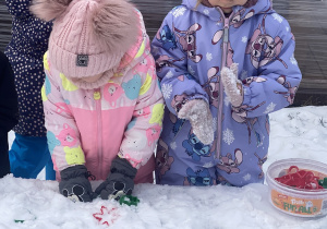 Zimowe zabawy na śniegu