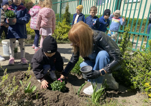 Dziewczynka sadzi goździki.