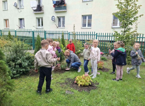 Przedszkole w jesiennych kwiatach