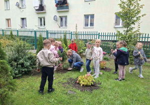 Dzieci robią porządki w ogrodzie i sadzą kwiaty